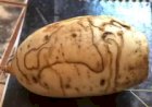 Batata-Doce: Riscos e Manchas Não Significam Que Está Estragada