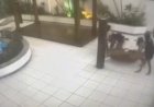 Menina de 7 anos morre após ser atingida por pilastra de concreto no Rio de Janeiro