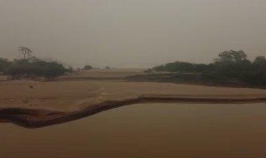 Rio Madeira atinge nível histórico de seca e mais de 700 famílias ribeirinhas são afetadas