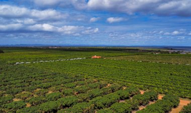 Prazo para Declaração do Imposto sobre a Propriedade Territorial Rural termina na próxima segunda-feira
