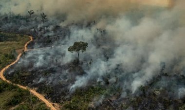 Movimentos populares convocam ato por justiça climática em Belém no próximo domingo