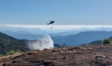 Governo do Rio de Janeiro Lança Aplicativo para Combater Queimadas e Aumenta Multas por Crimes