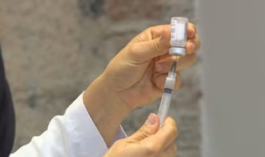 Nova variante da Covid-19, XEC, é detectada no Brasil