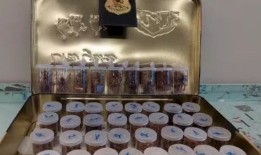 Tráfico de Aranhas: Ibama Apreende 50 Aranhas-Caranguejeiras Escondidas em Carga de Brinquedos e Roupas Infantis