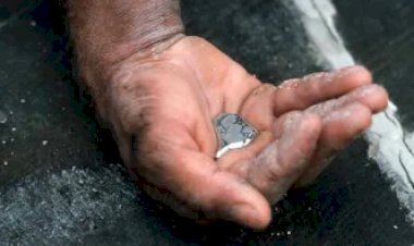 Contaminação por Mercúrio Atinge Sete Rios na Terra Yanomami, Afetando Saúde e Meio Ambiente