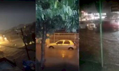 Chuva em Goiânia Supera Previsão em 12 Vezes e Causa Estragos