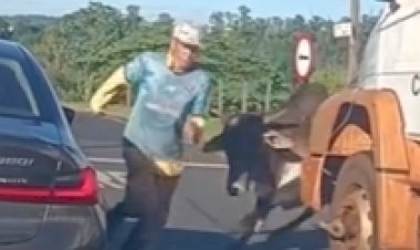 Touro solto causa pânico ao avançar sobre homem e pular sobre BMW com criança em Ribeirão Preto (SP)