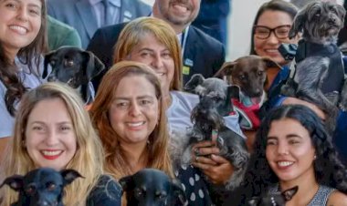 Governo lança SinPatinhas: 