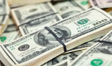 Dólar recua e Bolsa cai com mercado reagindo a decisão dos EUA e cenário fiscal no Brasil