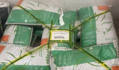 RAÇÃO CONTAMINADA MATA 245 CAVALOS E MINISTÉRIO INVESTIGA EMPRESA GOIANA