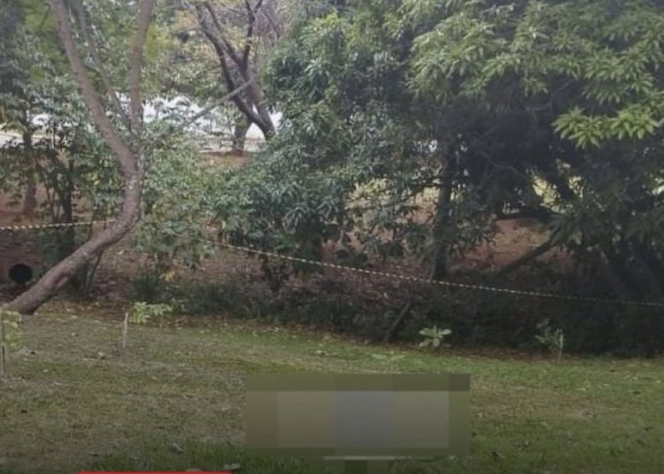 Jovem é encontrado morto com marcas de tiro em parque de Goiânia