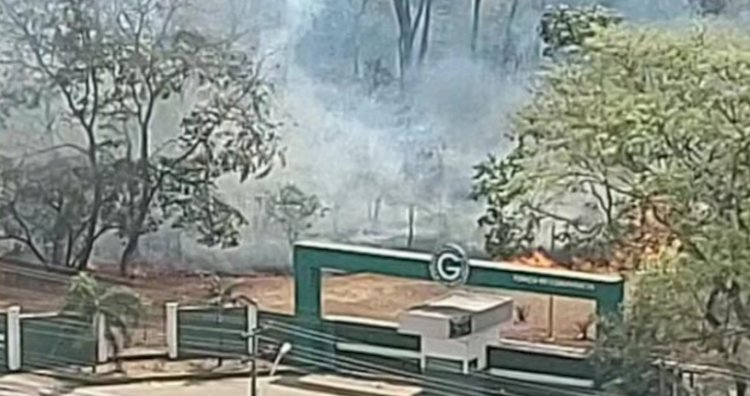 Incêndio atinge área de vegetação no Centro de Treinamento do Goiás em Goiânia