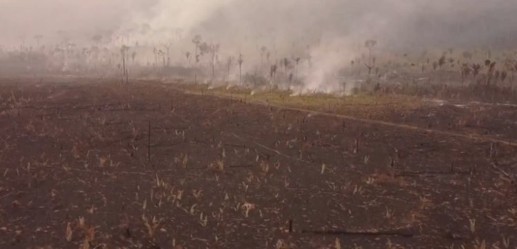 Incêndios criminosos destroem 33% do Parque Guajará-Mirim, em Rondônia