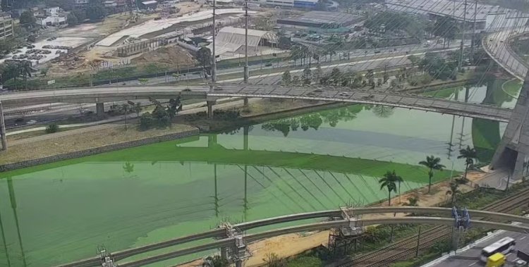 Rio Pinheiros apresenta coloração verde devido à proliferação de algas causada pela seca