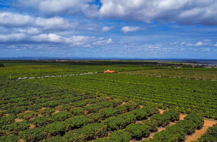 Prazo para Declaração do Imposto sobre a Propriedade Territorial Rural termina na próxima segunda-feira