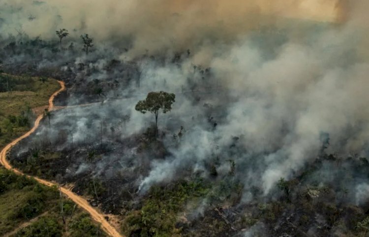 Movimentos populares convocam ato por justiça climática em Belém no próximo domingo
