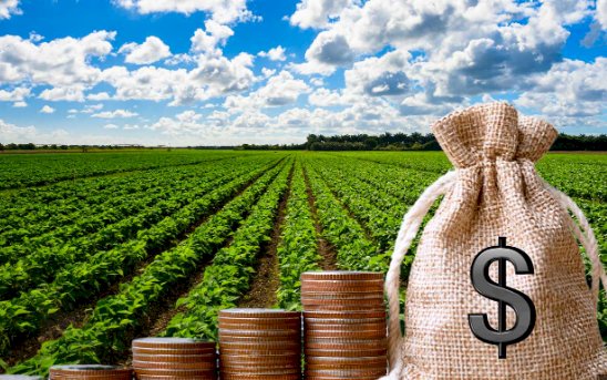 Fundo do Agronegócio do Itaú enfrenta desafios com CRAs de produtores em dificuldades financeiras