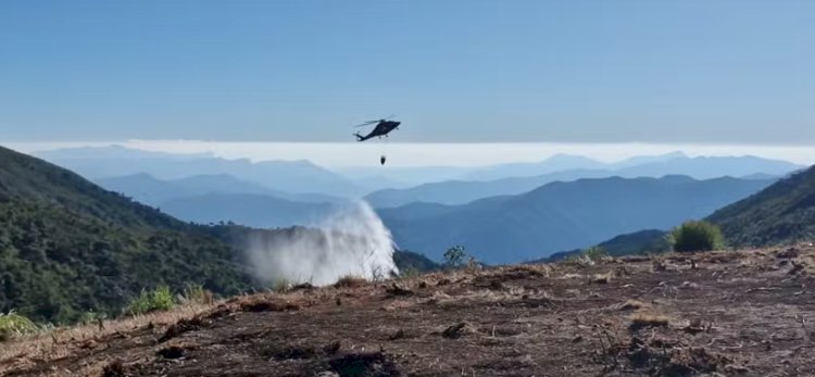 Governo do Rio de Janeiro Lança Aplicativo para Combater Queimadas e Aumenta Multas por Crimes