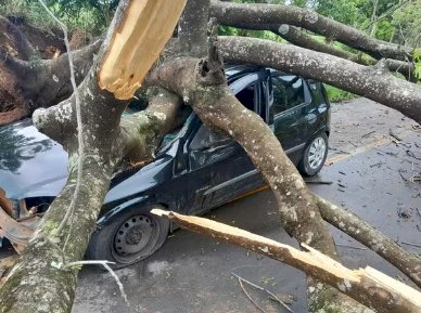 Temporais no Interior de SP Fazem Três Vítimas e Deixam Outros Três Desaparecidos em Campinas e Jandira