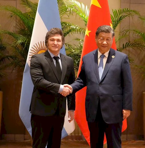 Javier Milei e Xi Jinping: De Adversários Ideológicos a Parceiros Comerciais