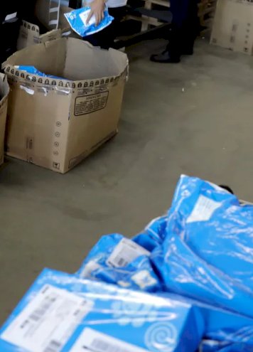 Magazine Luiza Lança Magalog: Novo Gigante Logístico no Brasil