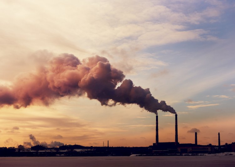 Brasil regulamenta mercado de carbono, mas exclui agronegócio das obrigações iniciais