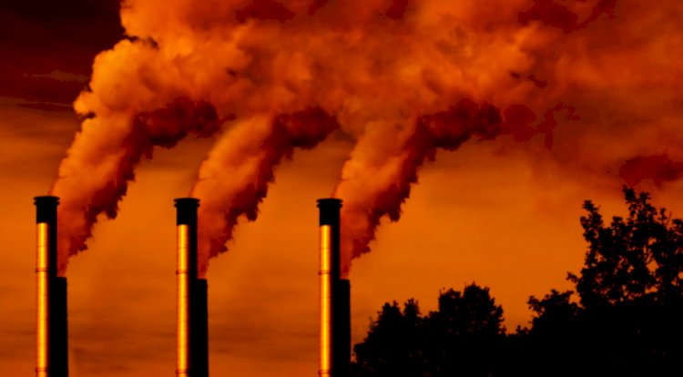 Acordo de Paris: Apenas 10 países atualizaram metas para redução de emissões antes do prazo