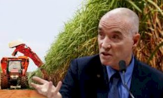 Eike Batista capta US$ 500 milhões para revolucionar o agronegócio com a ‘supercana’