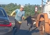 Touro solto causa pânico ao avançar sobre homem e pular sobre BMW com criança em Ribeirão Preto (SP)
