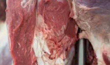 Carne brasileira passa a pagar tarifa de 67%